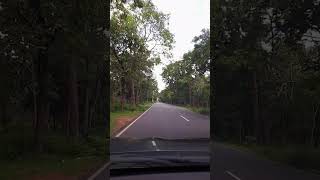 Journey in Srisailam Forest