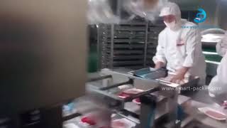 Knödel Penner Kuchenschale linear Typ automatische Filmschnitt Heißsiegel Maschine Schale Heißsiegel