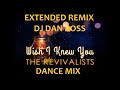 THE REVIVALISTS WISH I KNEW YOU EXTENDED REMIX BY DJ DAN ROSS