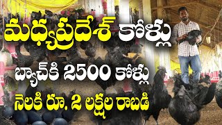 కడక్ నాథ్ కోళ్ల పెంపకంలో పాతికేళ్ల యువకుడు || Kadaknath Chickent Farming || Anil