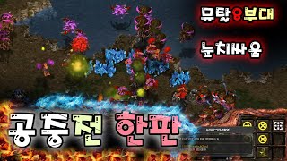 [더드튜브] 뮤탈5부대쓰다가 손풀릴뻔했네 스타팀플 헌터 StarCraft Team Play 리마스터 스타크래프트