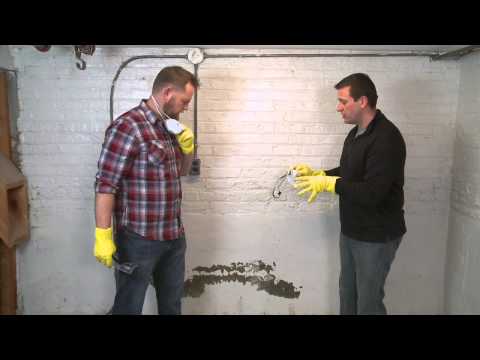 How to Clean up Mold How to Clean up Mold