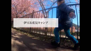 【ファミリーキャンプ】伊豆お花見キャンプ、iZoo・伊豆アニマルキングダムで動物との触れ合い。【Gopro】