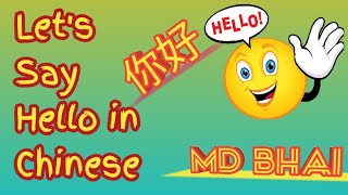 Phrases Every Chinese Beginner Must-Know | How to Greet People in Mandarin Chinese | Shocked Chinese