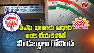 EPFO Alert: Your Account may be De-activated, If Not Linked With Aadhar by 31st Aug | Ntv