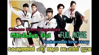 FULL MOVIE/ കേരളത്തില്‍ ഹിറ്റ് ആയ ചൈനീസ് ഡ്രാമ WHIRLWIND GIRL EXPLAINED IN MALAYALAM /cdrama /kdrama