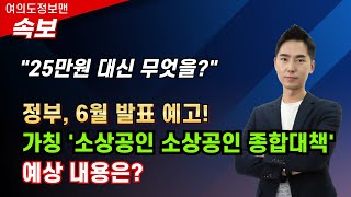 (속보)6월 소상공인 종합대책 발표 예고! / 25만원 민생회복지원금 대체할까?