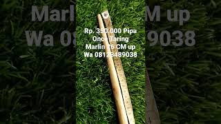 Rp. 350.000,- Pipa Once Taring Marlin 26 cm Up Wa 08123489038 #shorts #makrifatbusiness