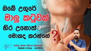 උගුරේ මාලු කටුවක් හිර උනොත් මොකද කරන්නේ? | Fishbone stuck in throat | #throathealth #meetyourdoctors