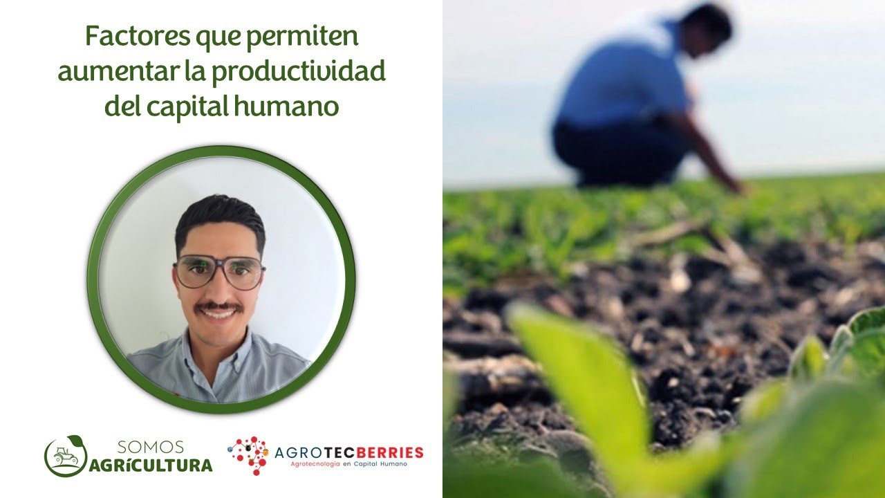 Factores Que Permiten Aumentar La Productividad Del Capital Humano ...