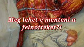 Meg lehet-e menteni a felnőtteket?!