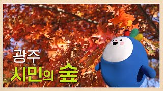 숨겨진 단풍 맛집🍂 광주 시민의 숲