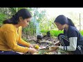 Dayak girl ||  Dayak Tribe Girl's daily activities at Pondok Sawah # 2