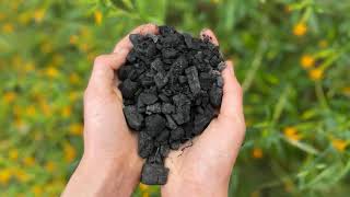 Lets Make Biochar 2021