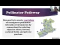 pollinator pathway