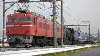 〔4K UHD|cc〕JR東日本・上越線：新前橋～井野駅間、EF81 97+SL\