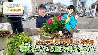 『市報にいがたdeなじラテ。』9月14日（土）放送回　「緑あふれる魅力的なまちへ」という話題を中心にお送りします。