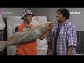 kenan e kel eles entraram numa fria literalmente kkk pluto tv