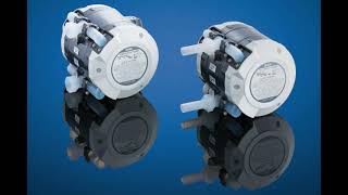 Solutions for Pulsation Damping of Diaphragm Pumps