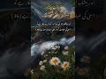 Surah Maryam verses 34 - 38 just in urdu