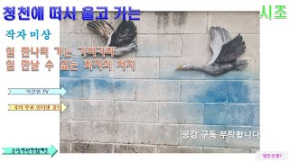 고전시조 청천에 떠서 울고 가는 해설 강의