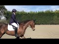 First Dressage Outing - Intro 2 (2024) 68.86% - 12th April 2025