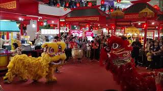 Barongsai 2025, 12 Jan 4 P.M. Lion Dance Imlek CNY Mal Taman Anggrek Indonesia