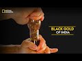 Black Gold of India | It Happens Only in India | National Geographic