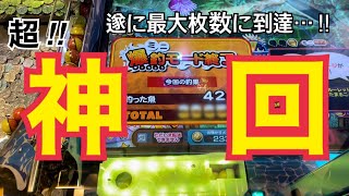 【ガッ釣りGO!】超!!神回!ついにこの時がきました!!#ガッ釣りGO#レッ釣りGO#コインゲーム#メダルゲーム#みずまる