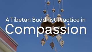 Tibetan Buddhist Practice of Compassion Meditation