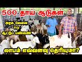 Youtube பார்த்துட்டு ஆடு வளர்த்தா, Audi கார் வாங்க முடியாது | லாபம்  பாக்கணும்னா இப்படி செய்யணும்!