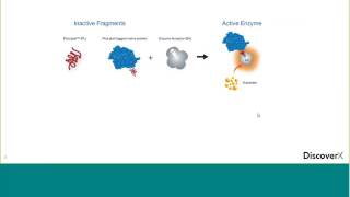 Create Your Own InCELL Pulse Cellular Compound Target Engagement Assay