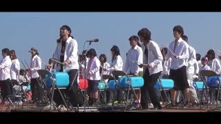 瀬戸内国際芸術祭2016春期オープニングアクト「玉野SEA1000人達歩〜船出」KAos+Ai=KAi