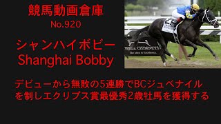 【競馬】シャンハイボビー　Shanghai Bobby【No 920】