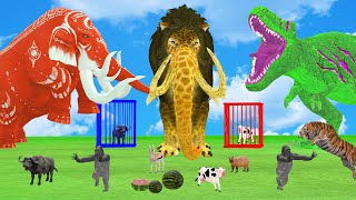 5 Giant Mammoth Elephant Cow vs 5 Giant Lion Tiger vs Hybrid Tiger Bull Zebra Saved By Wolly Mammoth