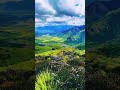 neelakurinji vibes in kallippara neelakurinji kallippara 2022 munnar tourist places