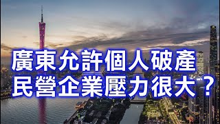 劉銳紹：廣東省為何允許個人破產 民營企業壓力很大？ 官方應該真聽一下民間一下民間意見