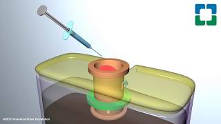 Controlled Substance Disposal System