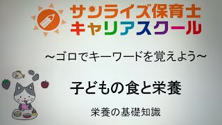 【保育士試験　子どもの食と栄養】ゴロで覚える！子どもの食と栄養  栄養の基礎知識