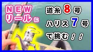 リベンジ!!カマスの泳がせ飲ませ釣り★青物ハンターへの道★vol.5 和歌山 釣り fishing アブガルシア リール のませ ぶっこみ ブリ メジロ ワラサ イナダ