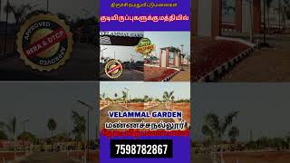 @TRICHY MANACHANALLUR TOWN PLOTS FOR SALE ON ROAD PLOTS #best investment #shortsvideo