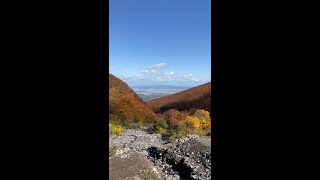 岩木山赤倉沢の紅葉(堰堤上部)22.10.20