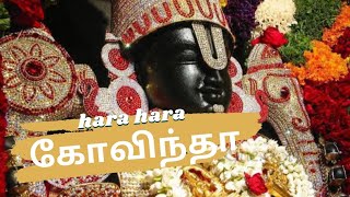 திருப்பதி அதிகாலை முதல் தரிசனம்