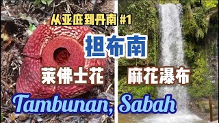 Rafflesia | Mahua Waterfall | Sinurambi |莱佛士花｜麻花瀑布