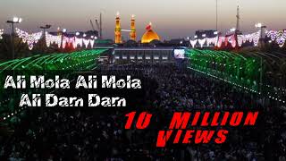 ALI MOLA ALI DAM DAM | Official Track | Remix | 2019 | Sultan Ul Qadria#qasida #ad #ali #alimola