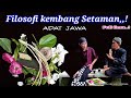 kupas tuntas filosofi kembang setaman,adat jawa