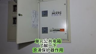 单元公共电箱，怎么看，了解一下浪涌保护器作用。