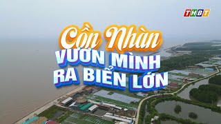 Cồn Nhàn vươn mình ra biển lớn | Ký sự đất và người Bến Tre