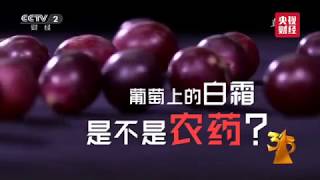 【2018年315晚会】破除食品谣言 假菜成本比真菜更高 打针西瓜容易腐坏 20180315央视