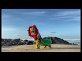 客家金狮王与南狮 🎥 伦乐和顺班 倫樂和順金師隊 lundu foshun hakka lion dance